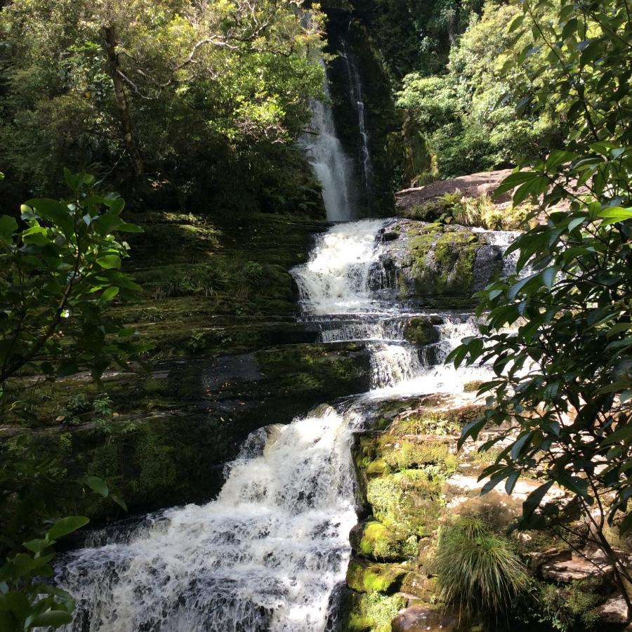 Catlins Retreat B & B Owaka Exteriör bild
