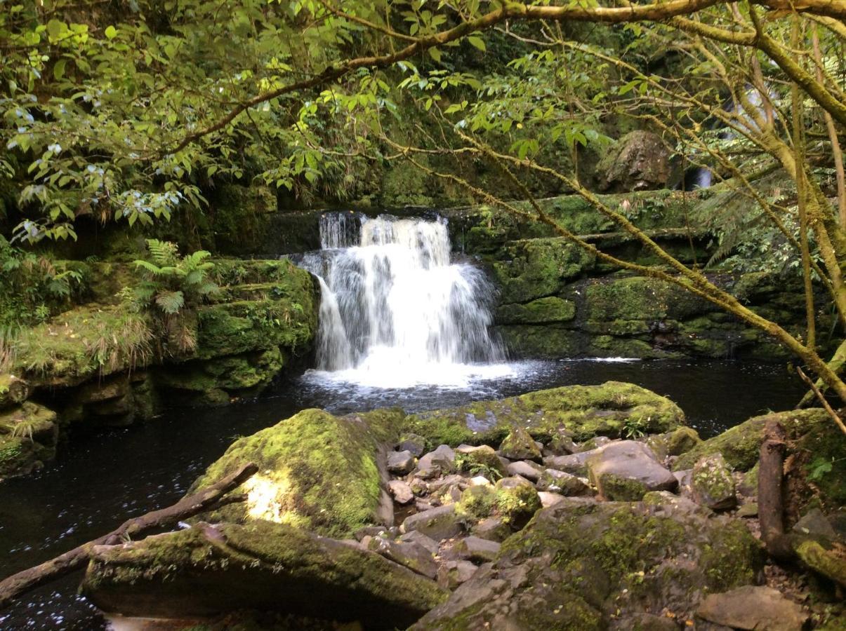 Catlins Retreat B & B Owaka Exteriör bild